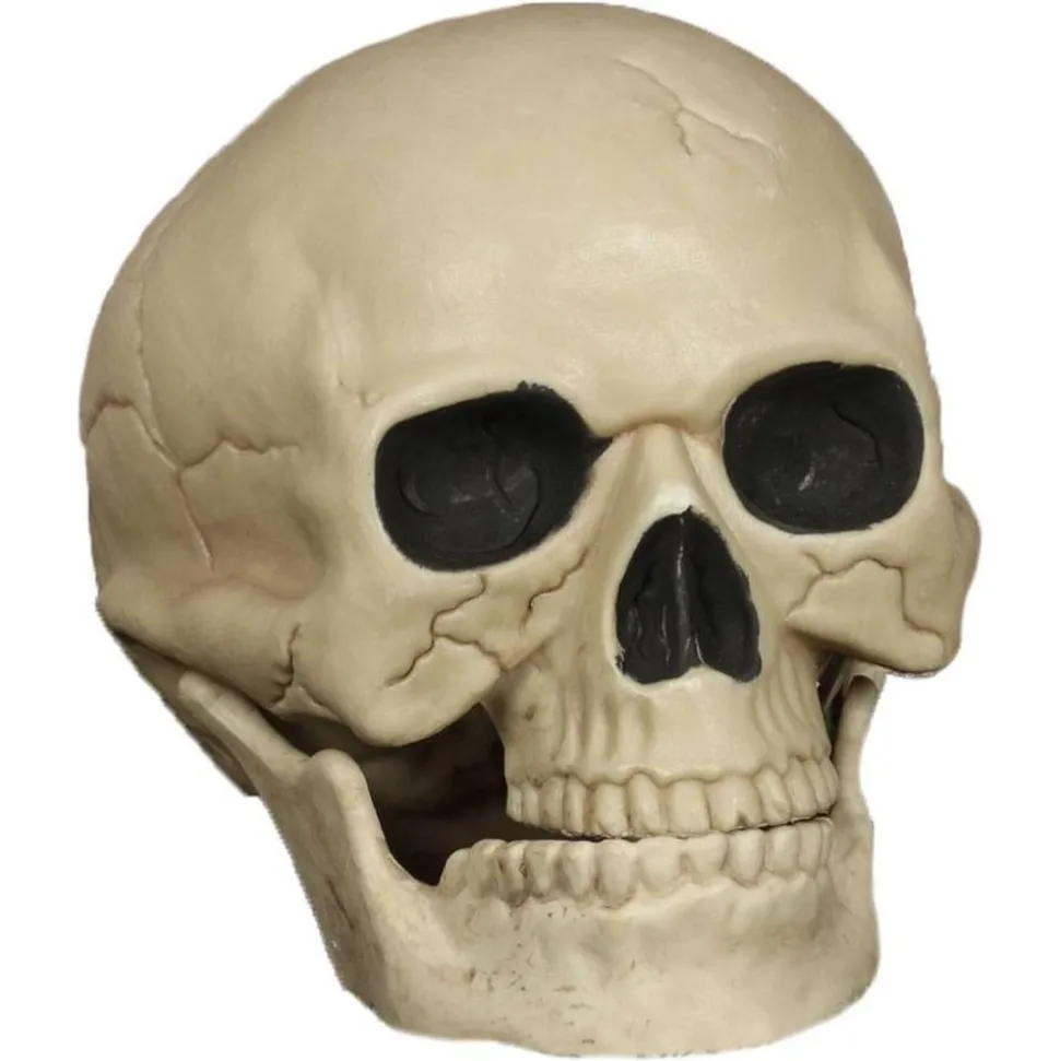 CRÂNE HUMAIN FRACTURÉ MACHOIRE ARTICULÉE 20CM