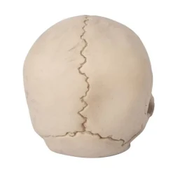 CRÂNE PLASTIQUE DÉCO MAIN RADIOACTIF 14CM BEIGE