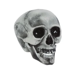 CRÂNE PVC 20CM