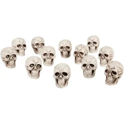 12 CRÂNES