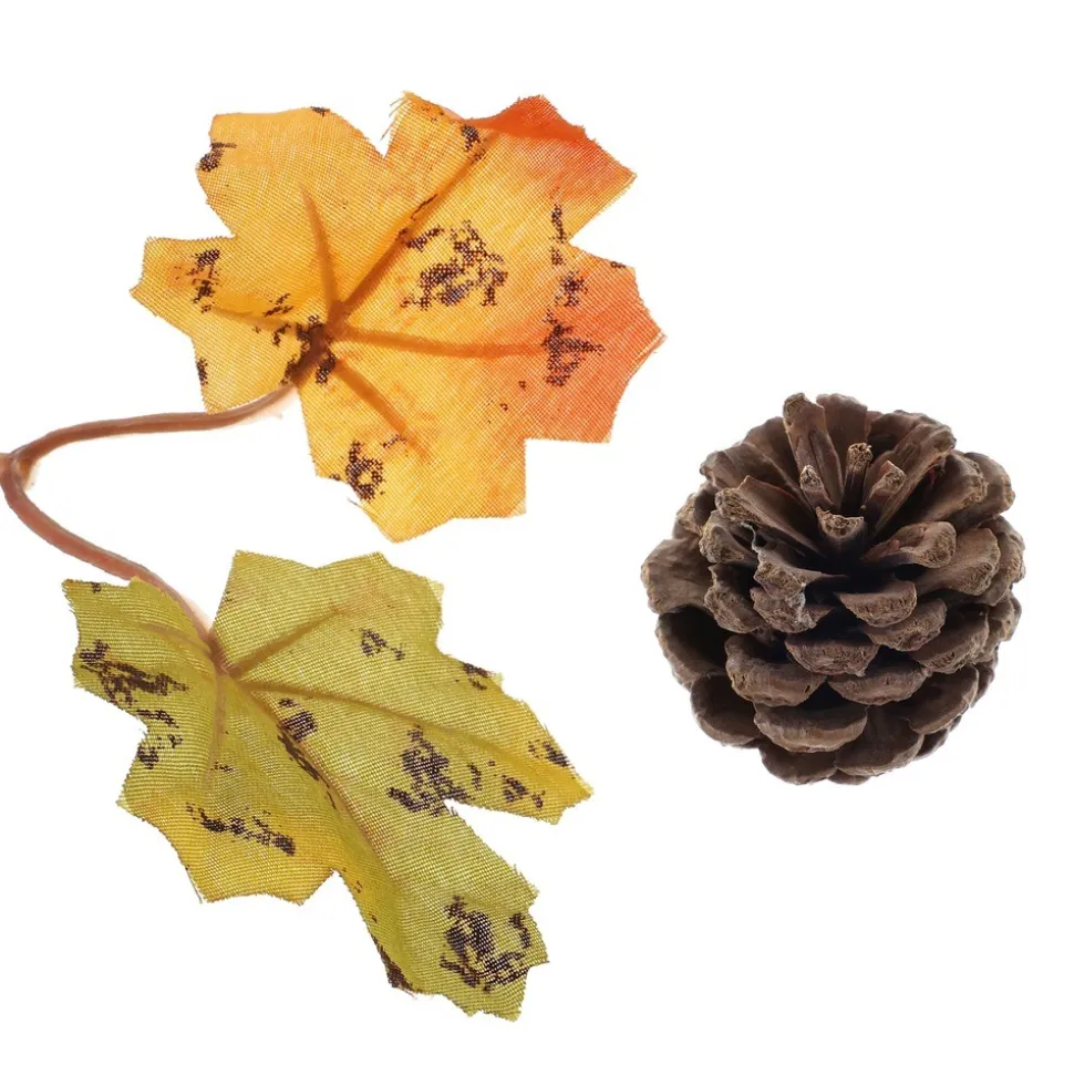 25 DÉCO AUTOMNALE RÉCOLTE FORÊT POMMES DE PIN
