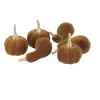 6 DÉCO COURGES VELOURS 3.5-5.5CM PISTACHE
