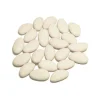 DRAGÉES AMANDES AVOLA MYOSOTIS 500G IVOIRE