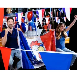 DRAPEAU ALLEZ LA FRANCE 90X150CM