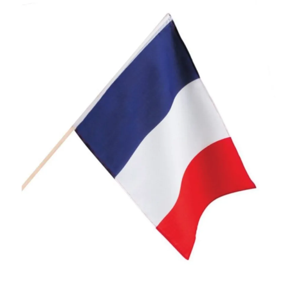 DRAPEAU FRANCE POLYESTER HAMPE 45X30CM TRICOLORE