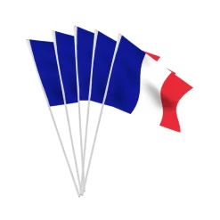 10 DRAPEAUX FRANCE PAPIER AVEC HAMPE 9.5X16CM