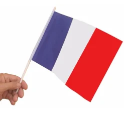 10 DRAPEAUX FRANCE POLYESTER AVEC HAMPE 15X21CM