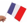 10 DRAPEAUX FRANCE POLYESTER AVEC HAMPE 20X30CM
