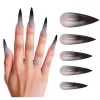 10 FAUX ONGLES LONGS GOTHIQUE ADHÉSIF ADULTE