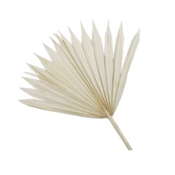 5 FEUILLES ARTIFICIELLES PALMIER BEIGE