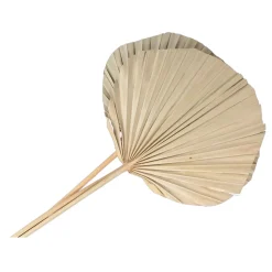 3 FEUILLES DE PALMIER ARRONDIE 60CM NATURE