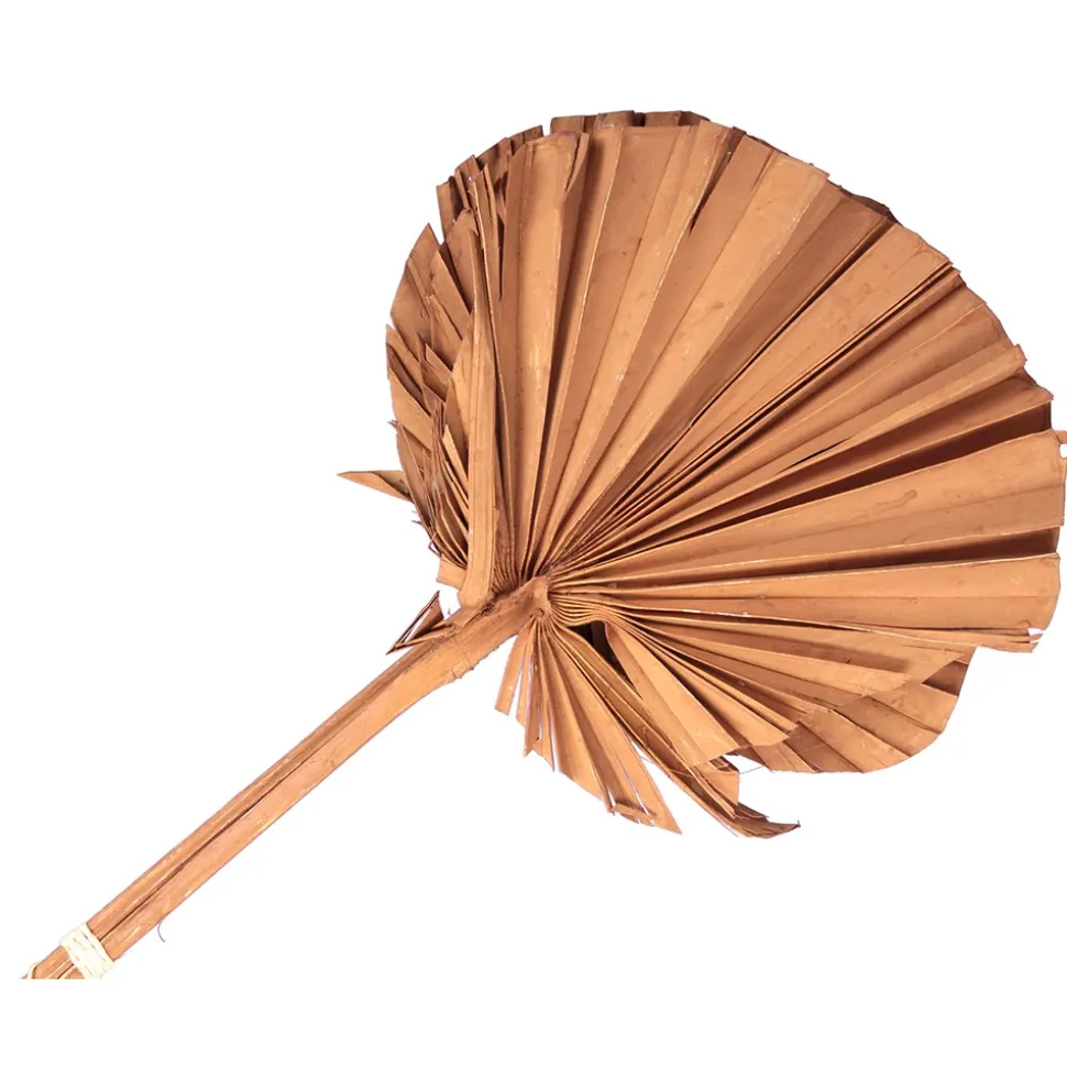 3 FEUILLES DE PALMIER ARRONDIES 60CM MARRON