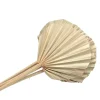 5 FEUILLES DE PALMIER ARRONDIES 45CM NATURE
