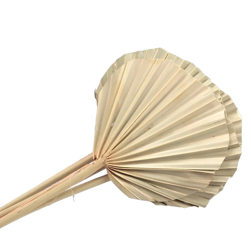 5 FEUILLES DE PALMIER ARRONDIES 45CM NATURE