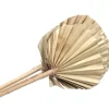 5 FEUILLES DE PALMIER ARRONDIES 45CM OR