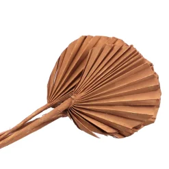 5 FEUILLES DE PALMIER ARRONDIES 45CM MARRON