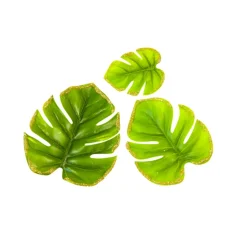 6 FEUILLES MONSTERA BORD PAILLETÉ 3 TAILLES