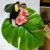 6 FEUILLES MONSTERA 3 TAILLES 8/10CM VERT