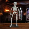 FIGURINE SQUELETTE DEBOUT DÉCO PVC 55CM