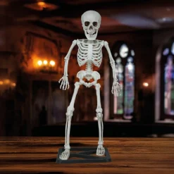 FIGURINE SQUELETTE DEBOUT DÉCO PVC 55CM