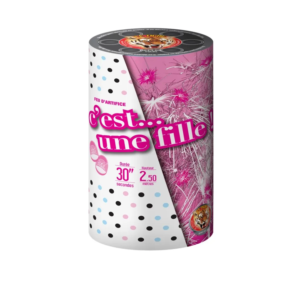 FONTAINE GENDER REVEAL ROSE - F2