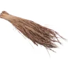 GERBE BRANCHES HERBES SÉCHÉES 200G NATURE
