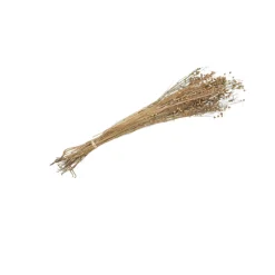 GERBE ÉPIS DE LIN FLEURS SÉCHÉES 100G NATUREL
