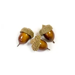 10 GLANDS ARTIFICIELS VERNIS BRILLANT 3CM NATURE