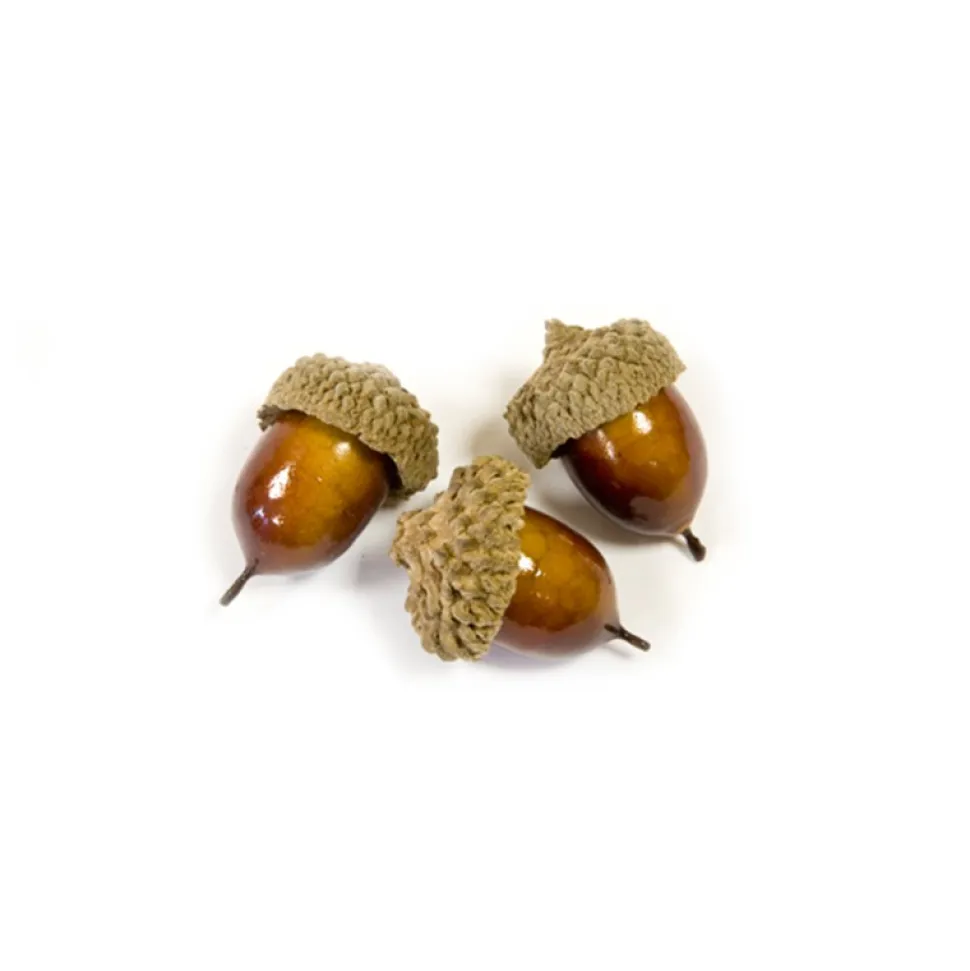 10 GLANDS ARTIFICIELS VERNIS BRILLANT 3CM NATURE