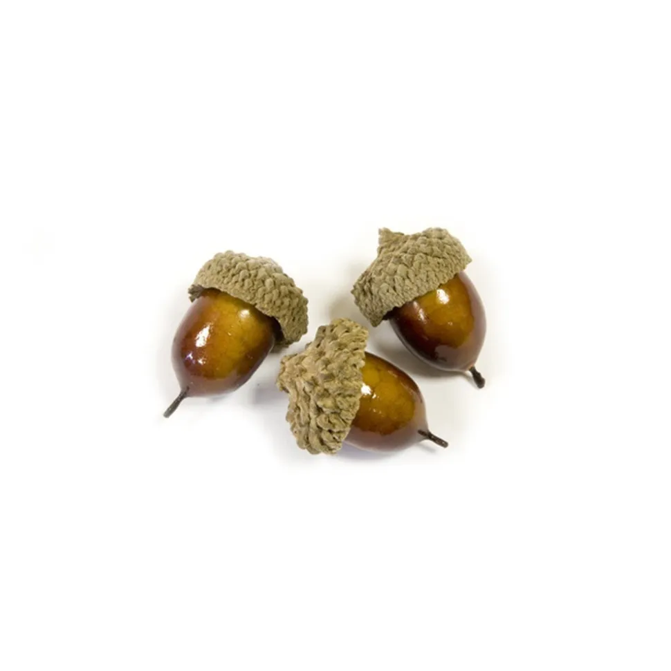 10 GLANDS ARTIFICIELS VERNIS BRILLANT 3CM NATURE
