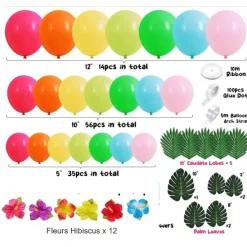 GUIRLANDE BALLONS HIBISCUS HAWAÏ 5M MULTICOLORE