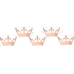 GUIRLANDE 15 FANIONS CARTON PETITE PRINCESSE 6M