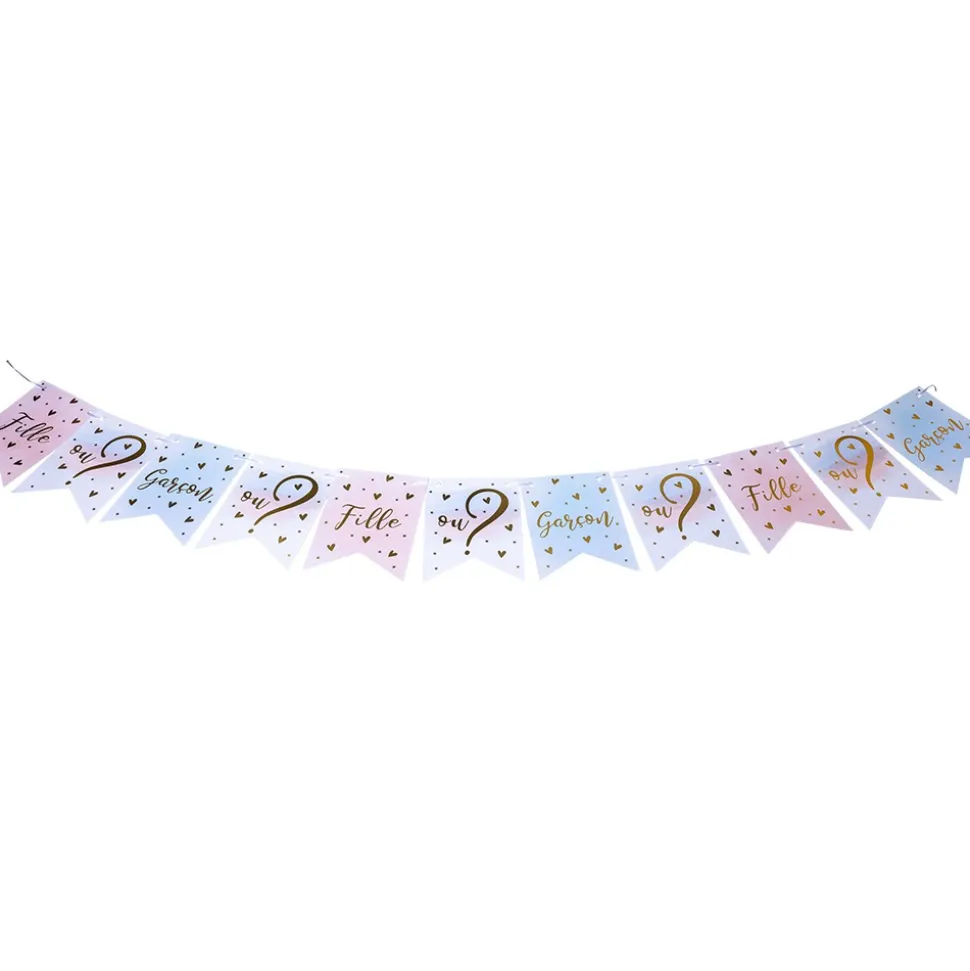 GUIRLANDE 11 FANIONS GENDER REVEAL PARTY 13X18CM
