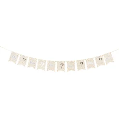GUIRLANDE FANIONS GENDER REVEAL DOUX BÉBÉ 3.6M
