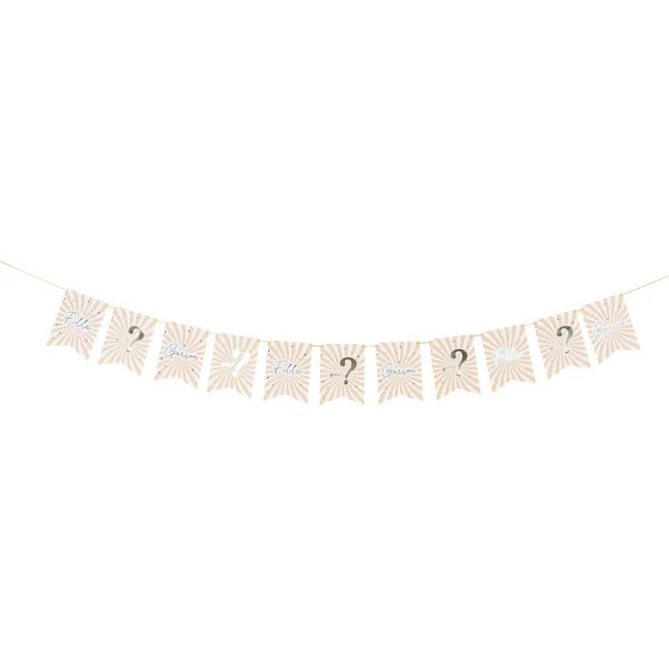 GUIRLANDE FANIONS GENDER REVEAL DOUX BÉBÉ 3.6M