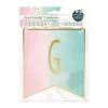 GUIRLANDE À FANIONS PAPIER GENDER REVEAL 5M