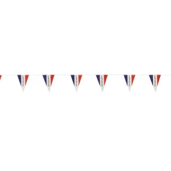 GUIRLANDE À FANIONS PLASTIQUE TRICOLORE FRANCE 5M