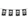 GUIRLANDE FANIONS RECTANGLE PIRATE 6M