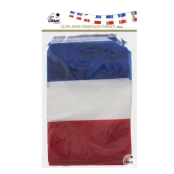 GUIRLANDE 10 PAVILLONS PLASTIQUE DRAPEAU FRANCE 5M