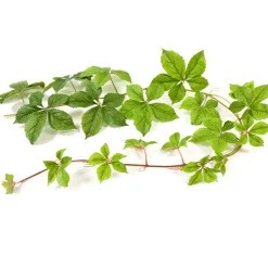 GUIRLANDE VIGNE VIERGE ARTIFICIELLE 1.70M VERT