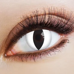 LENTILLES ANNUELLES 14MM CATWALK - 70