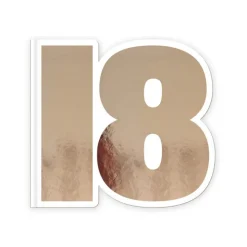 LIVRE D'OR CARTON ANNIVERSAIRE 18ANS ROSE GOLD