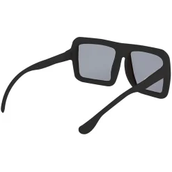 LUNETTES ARGENT DOLLARS ADULTE