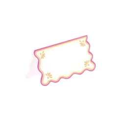 10 MARQUE-PLACES CARTON PINK LEMONADE 8X4CM BLANC