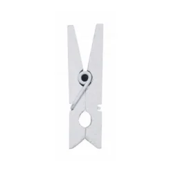 10 MINI PINCES À LINGE 2.5CM BLANC