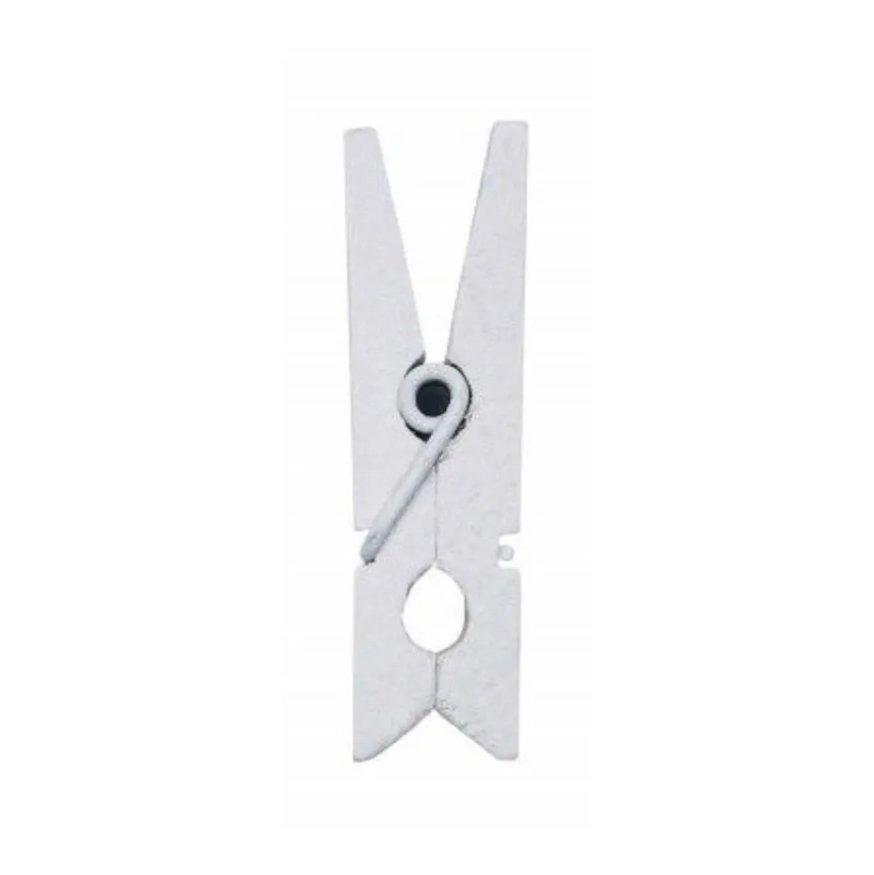 10 MINI PINCES À LINGE 2.5CM BLANC