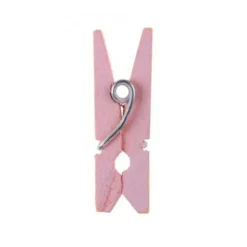 10 MINI PINCES À LINGE 2.5CM ROSE