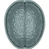 MOULE POUDDING CERVEAU 27.5X17.5X11CM GRIS