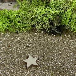MOUSSE LICHEN ISLANDE NATURE 150G VERT
