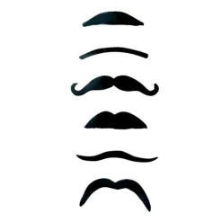 6 MOUSTACHES NOIRES ASSORTIES
